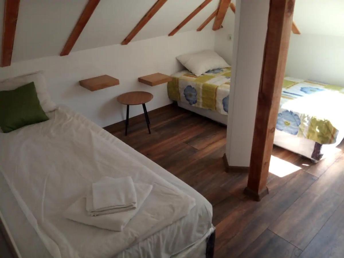 Entire Central House With Guest Rooms & Garden Sofia Extérieur photo
